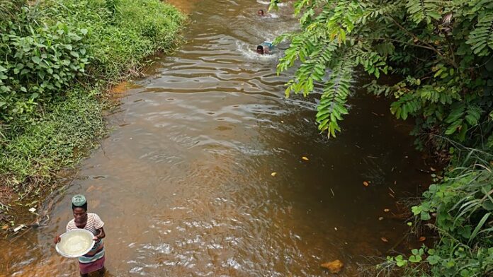 The Ankobra River, once a lifeline for fishing and farming, now runs grey and toxic—polluted by cyanide and mercury used in galamsey operations.