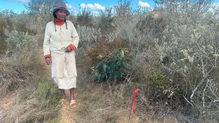 Roads or Rice Fields – Madagascar’s Highway Dilemma