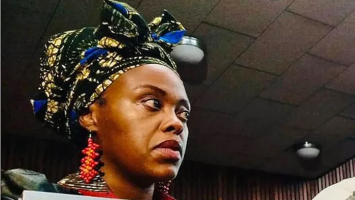 South African Radio Presenter Among Five Charged Over Russia Recruitment Plot