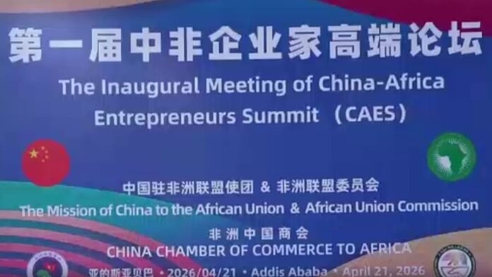 China–Africa Entrepreneurs Summit Calls for Deepened Cooperation