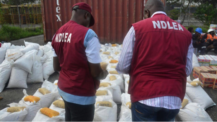 NDLEA secures forfeiture of N33.6 billion worth of opioids intercepted at Onne Port