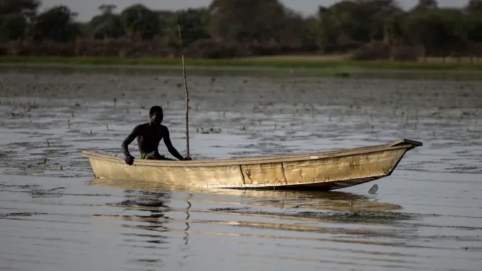 Dozens of Nigerian Fishermen Feared Dead After Chad Air Strikes