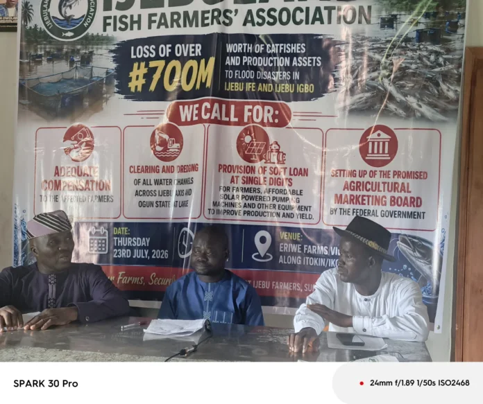 Ogun fish farmers seek Tinubu, Abiodun’s help after N700m flood loss