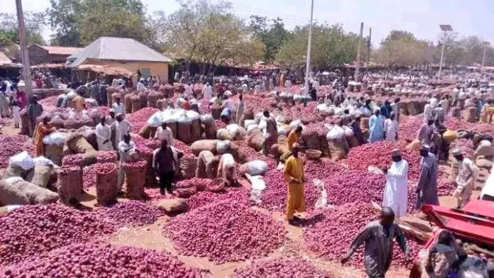 Onion sellers raise the alarm over seized Nigerian trucks in Ghana
