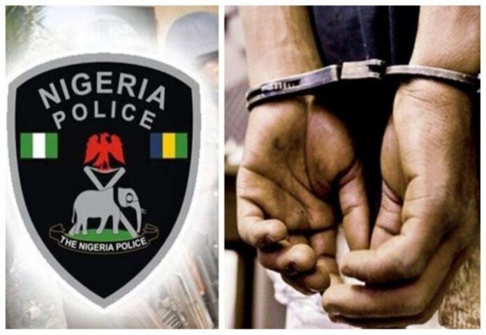 Police Arrest 23-Year Old Suspect Over Alleged Killing Of Benue Professor, Brother