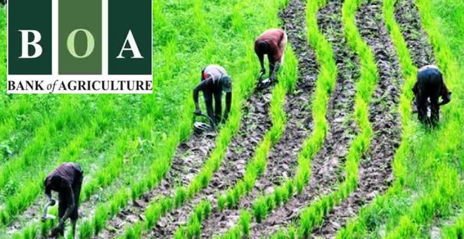 FG Tasks BOA On Affordable, Timely Financing For Farmers FG Tasks BOA On Affordable, Timely Financing For Farmers
